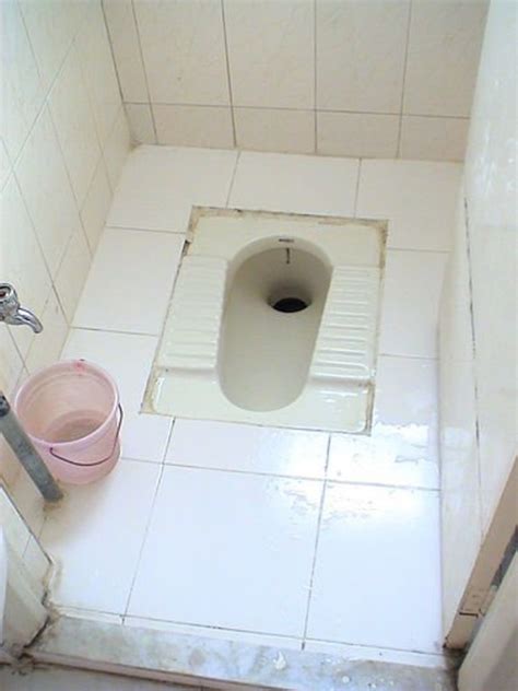 indian toilet sex|'indian toilet' Search .